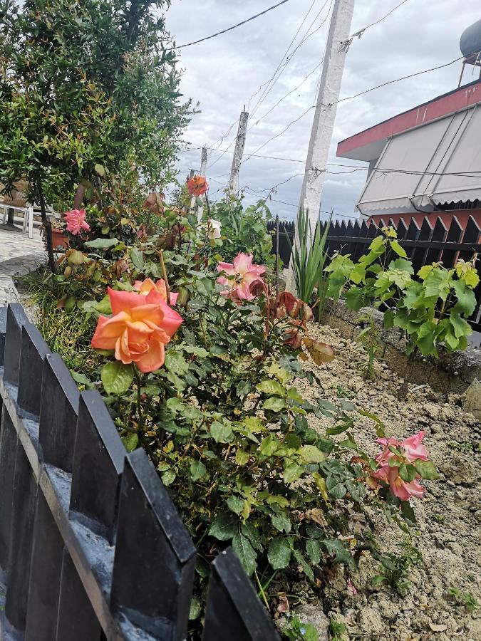 Private House Durresヴィラ 部屋 写真